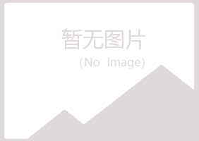 吐鲁番夏岚能源有限公司